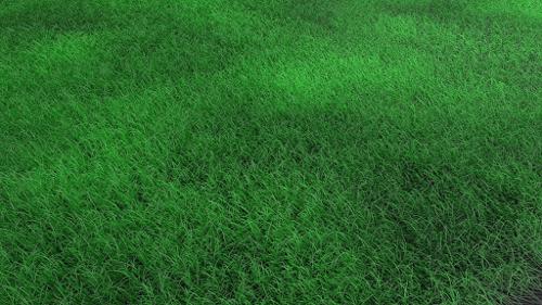 Fine Grass preview image